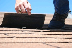 image of a shingle from a roof being lifted