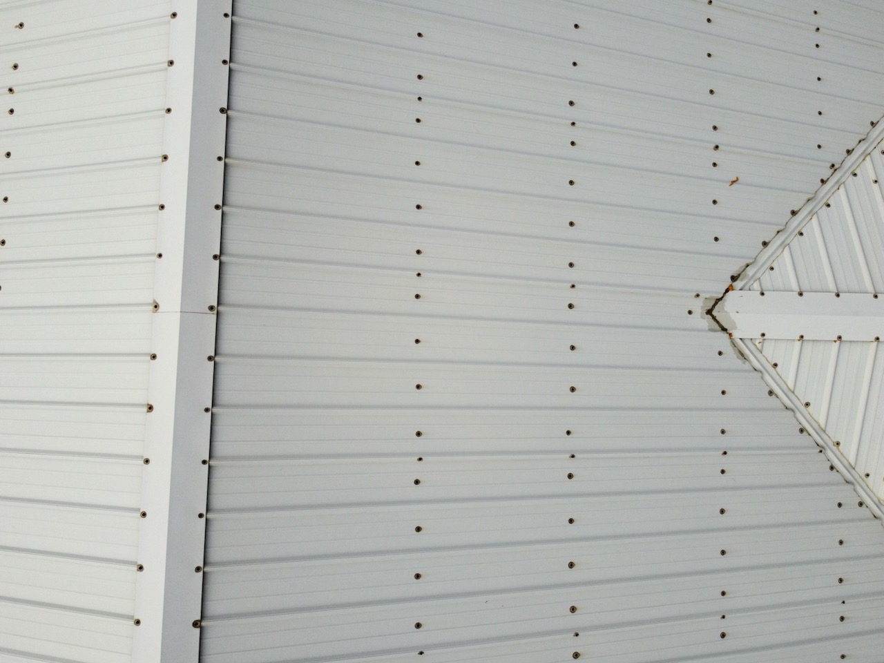image of discolored fasteners on a metal roof