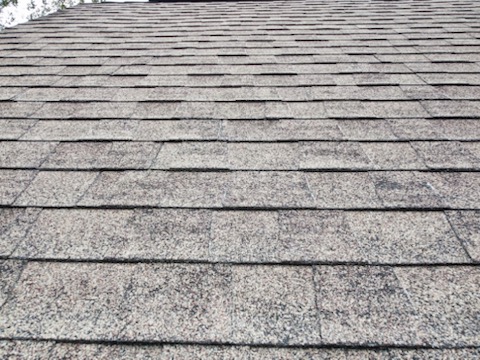 image of shingles uplifting from roof and missing granules