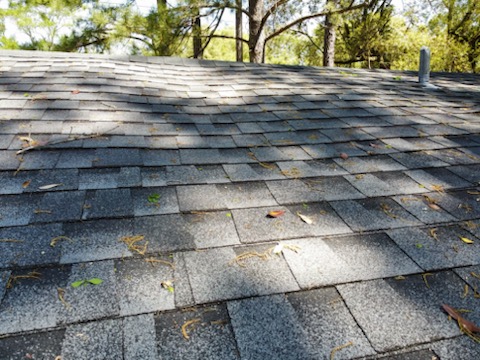 image of sagging roof deck with trees in background
